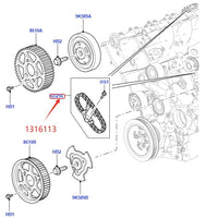 Thumbnail for CAMSHAFT TIMING CHAIN & TENSIONER KIT FOR 2.7 3.0 DIESEL LR3 RANGE ROVER SPORT NEW DISCOVERY VELAR JAGUAR XF XJ C2S30215 1316113