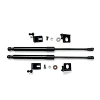 Thumbnail for Bonnet Struts Hydraulic For 2024 Toyota Land Cruiser 250