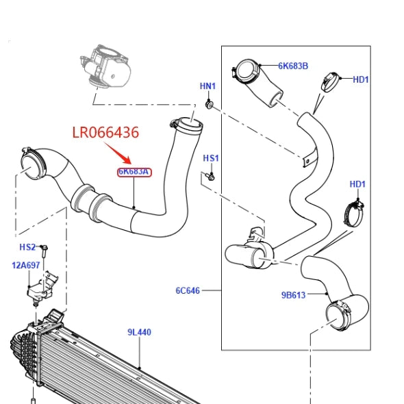 NEW 2.2L DIESEL TURBO INTERCOOLER HOSE PIPE TO THROTTLE BODY FOR LAND ROVER RANGE ROVER EVOQUE DISCOVERY SPORT LR024304 LR066436