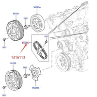Thumbnail for CAMSHAFT TIMING CHAIN & TENSIONER FOR 2.7 3.0 DIESEL LR3 RANGE ROVER SPORT 05-09 14- NEW DISCOVERY VELAR JAGUAR C2S30215 1316113