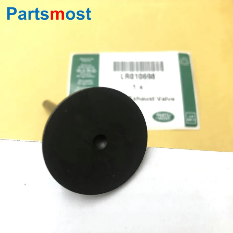5.0T PETROL INTAKE & EXHAUST VALVE FOR AJ133 ENGINE LAND ROVER LR4 RANGE ROVER SPORT JAGUAR XJ XF XK F-TYPE LR010863 & LR010698